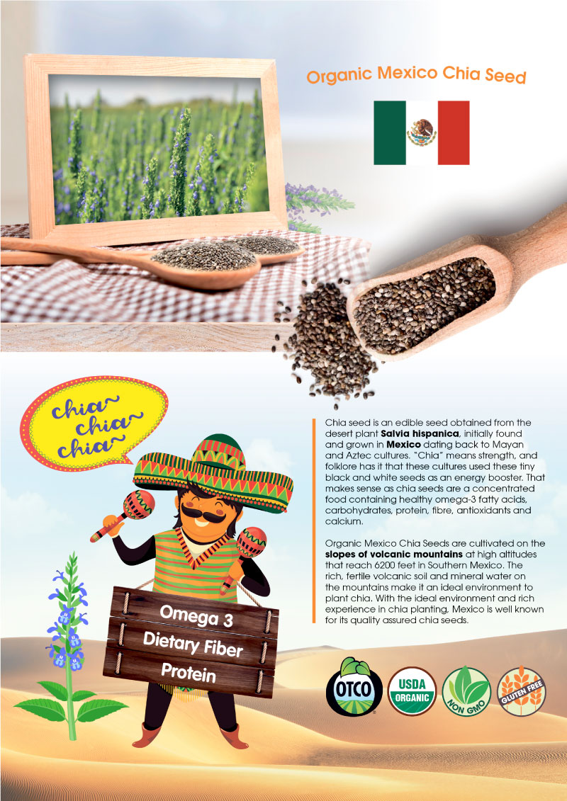 4OurFarm1-Design1920p_ChiaSeed_A4_V17